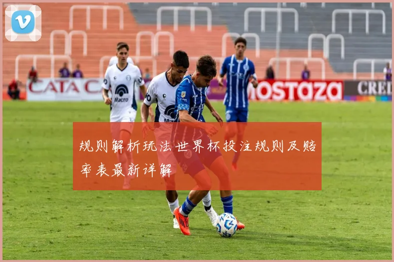 规则解析玩法世界杯投注规则及赔率表最新详解