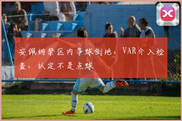 安佩姆禁区内争球倒地，VAR介入检查，认定不是点球